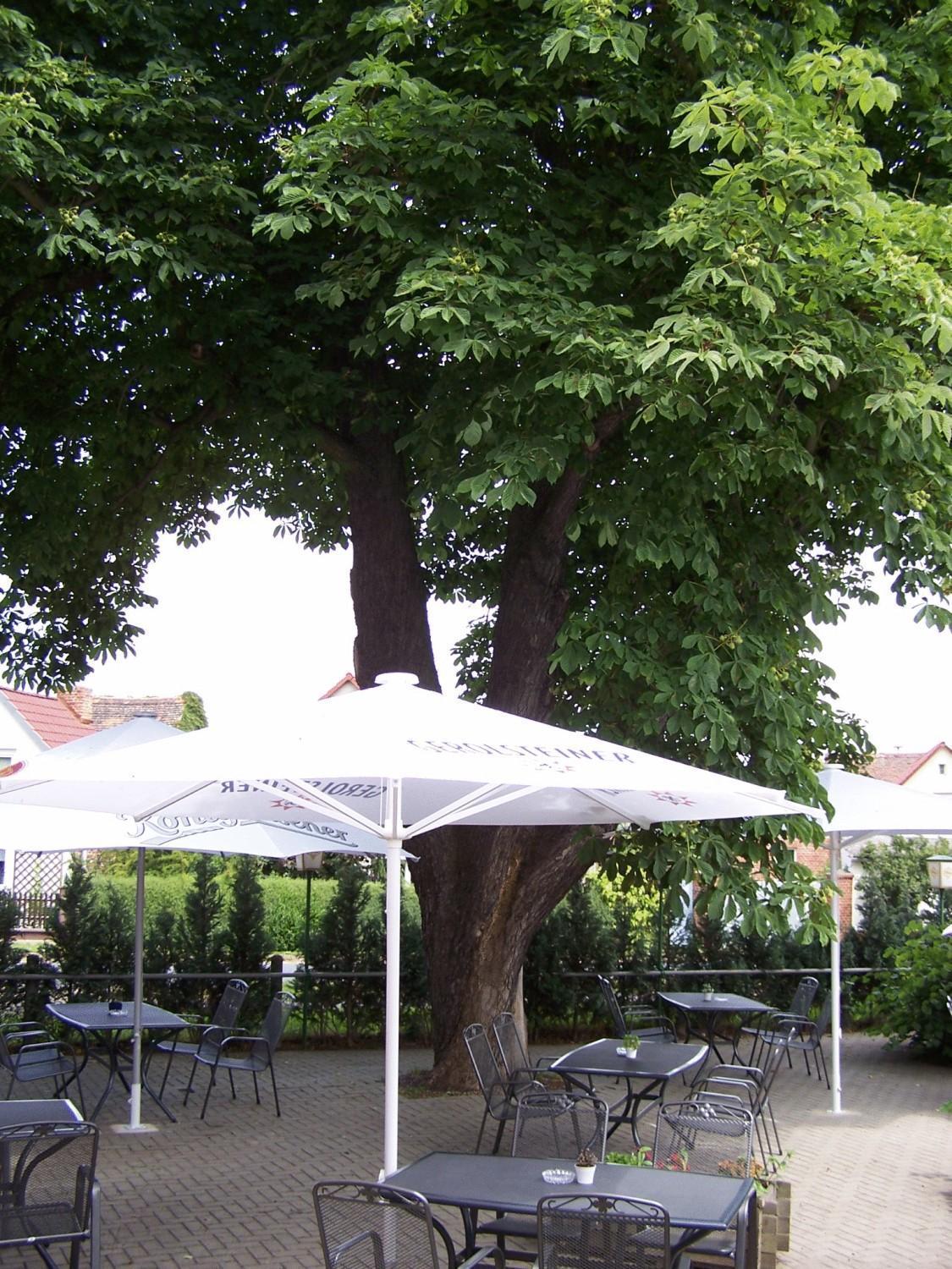 Hotel Glindenberger Hof ภายนอก รูปภาพ